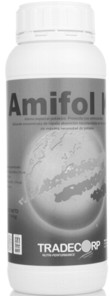 amifol1.jpg