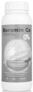 boram1.jpg