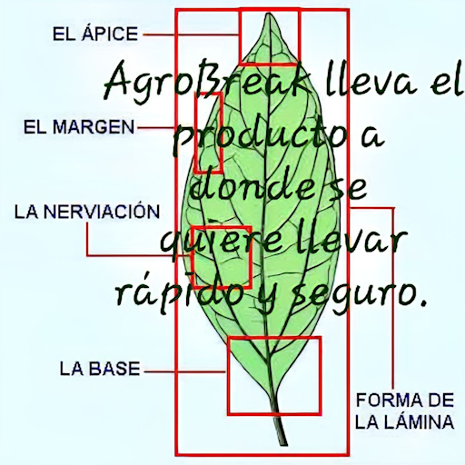 AgroBreak
