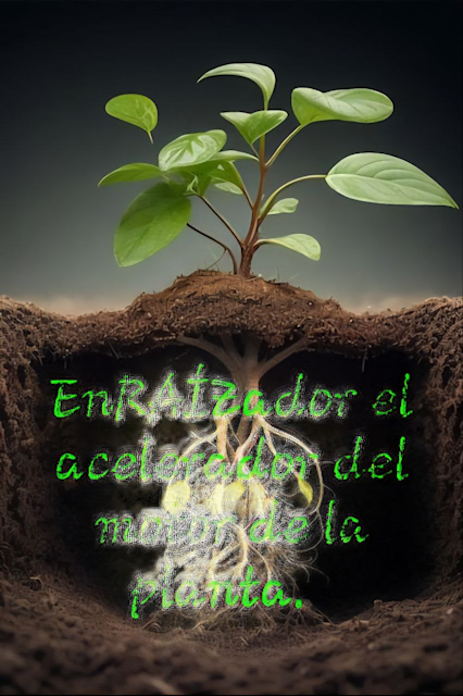 EnRAIZador