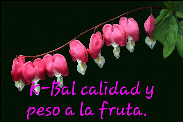 K-Bal