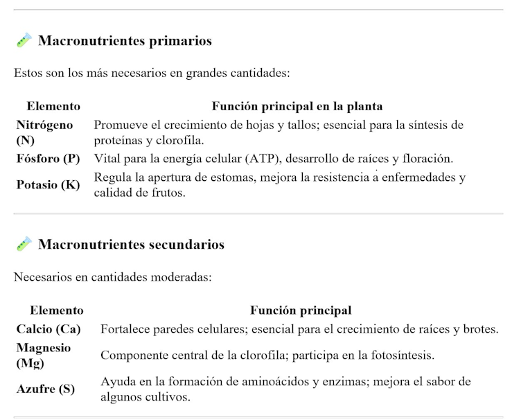 Macronutrientes