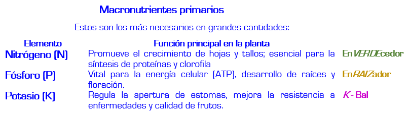 Macronutrientes primarios